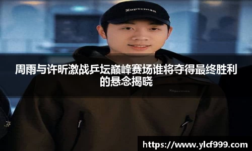 智博19有限公司