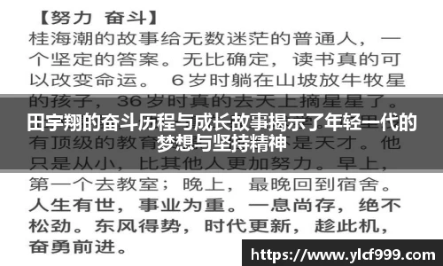 智博19有限公司